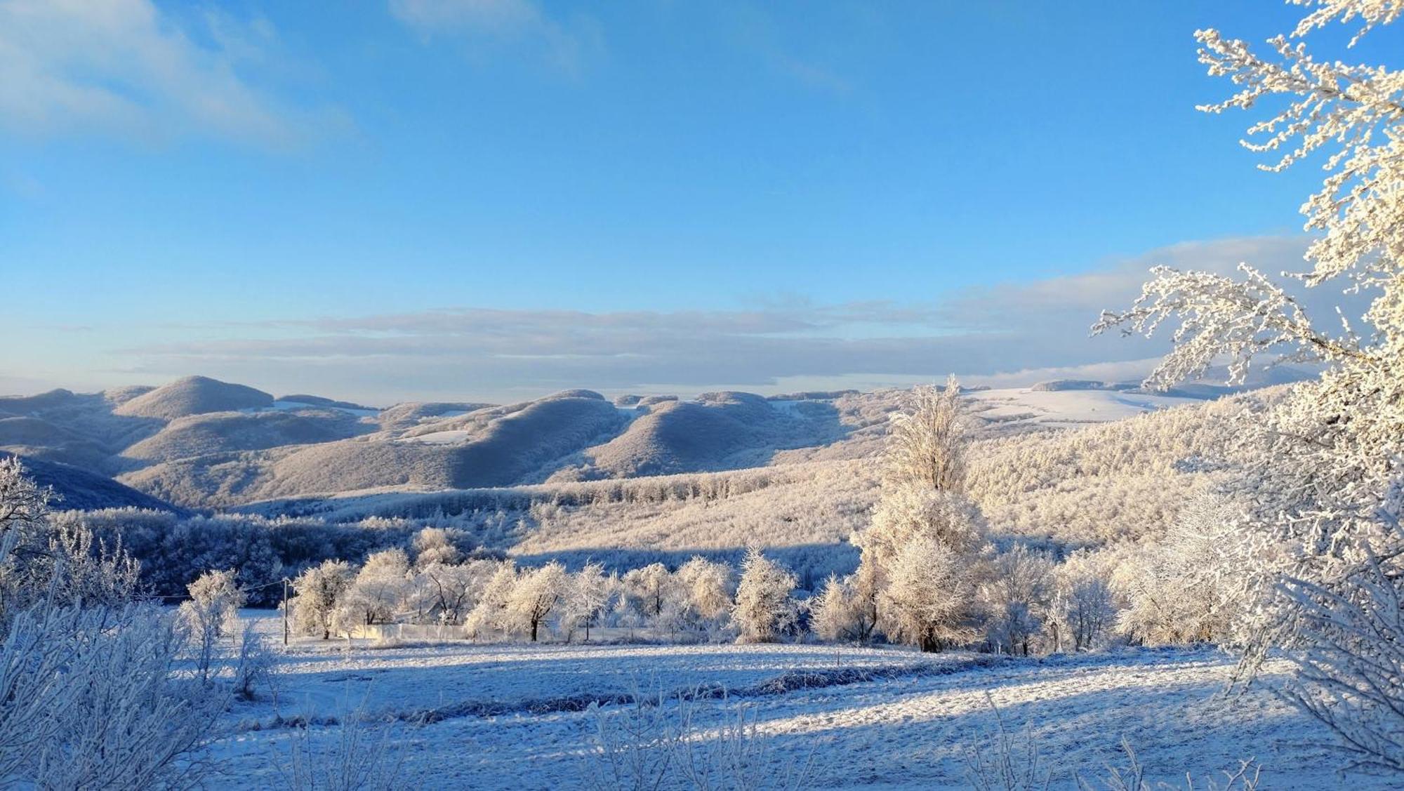 Nature Homestay Trenčín المظهر الخارجي الصورة